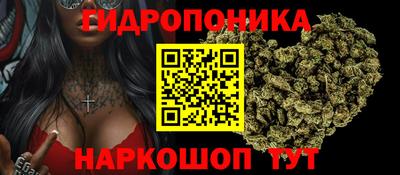 молекула духа Владикавказ
