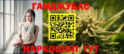 гидра Владимир