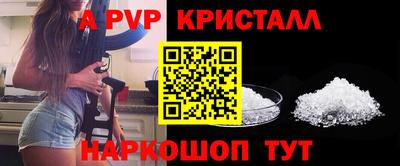 стафф Владивосток