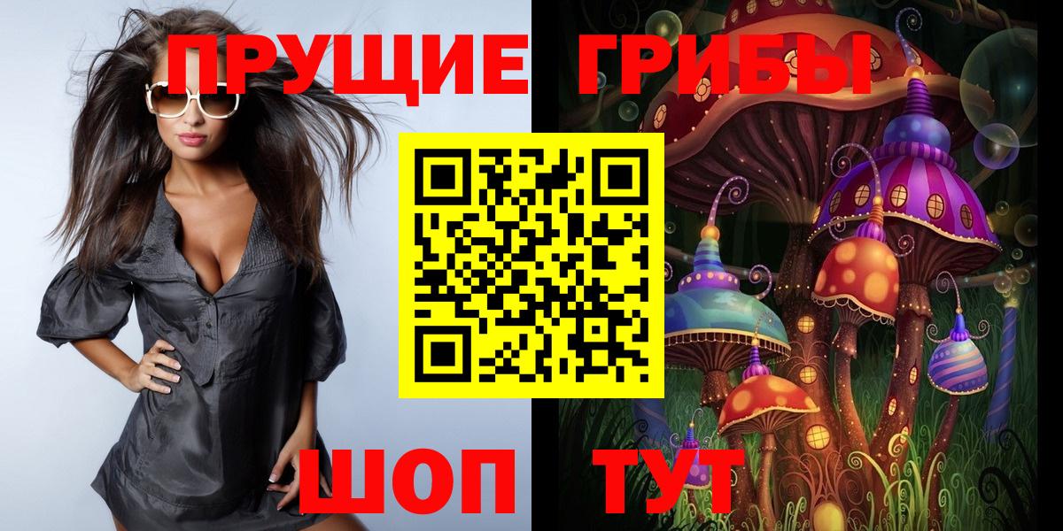 Галлюциногенные грибы Psilocybe Дмитров
